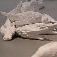 Buchcover mit weißen Vögeln aus Ton, die auf dem Boden auf einem Haufen liegen und etwas beschädigt sind