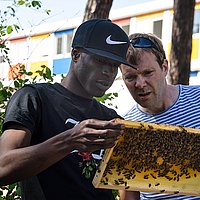 Ein Projektteilnehmer und Prof. Dr. Johannes Gräske betrachten eine Bienenwabe