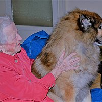 Hundebesuch im Seniorenheim. Foto: Leben mit Tieren e.V.