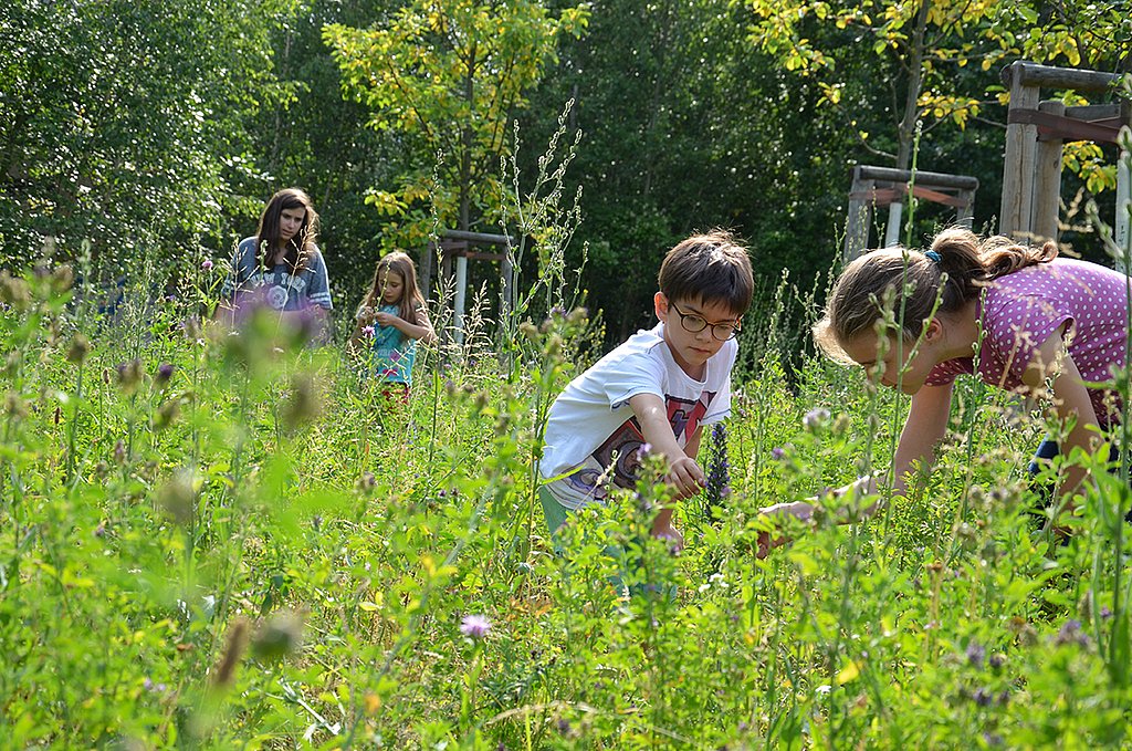 Kinder betrachten Blumen und Pflanzen auf einer Wiese