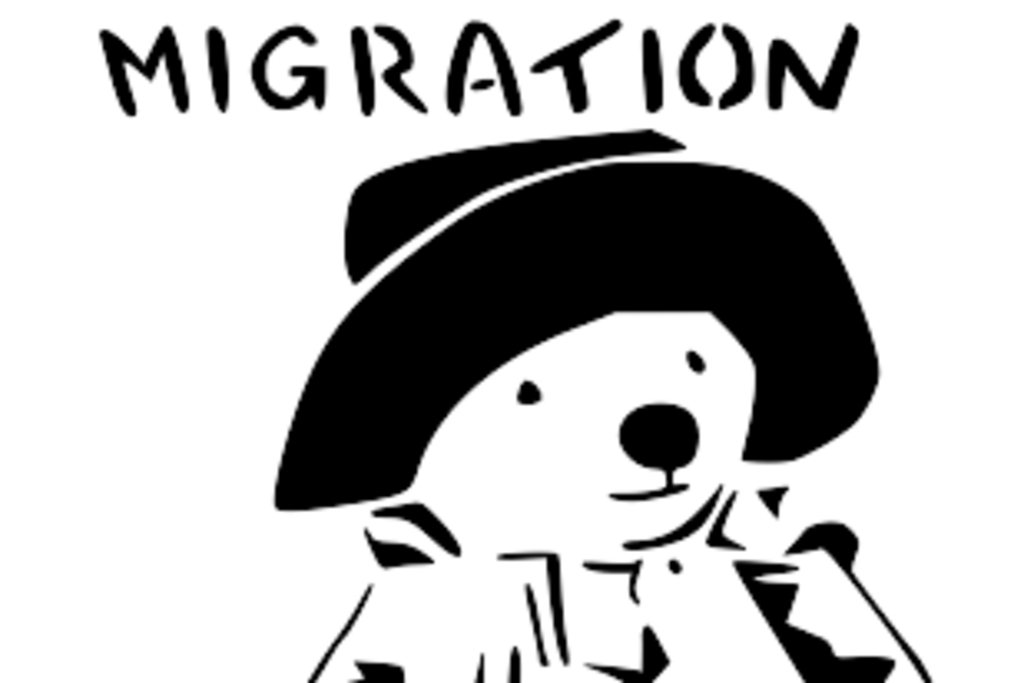 Eine Zeichnung von einem Bären mit Koffer und Hut, darüber steht: Migration is not a crime