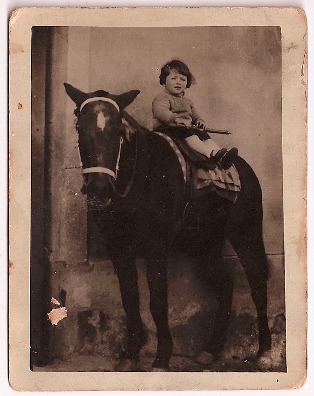 Ein kleines Mädchen sitzt auf dem Rücken von einem Pferd - Schwarz-Weiß Fotografie