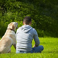 Auf einer Wiese sitzen ein Mann neben einem Hund, von hinten fotografiert