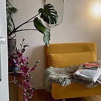 A couch and a plant in the indirect light of a floor lamp form an idea of a social living room.