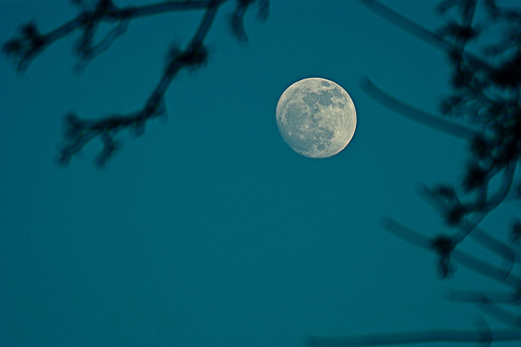 EIn Mond am Abendhimmel, im Vordergrund Zweige eines Baumes