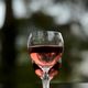 Vergrößern: Ein Glas Wein